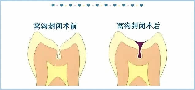 1727075774885414.jpg 微信圖片_20240923151129.jpg