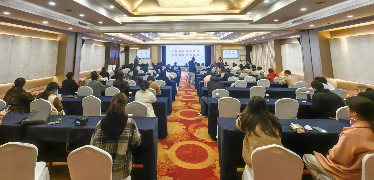 1731319173775316.jpg 1731319173775316.jpg